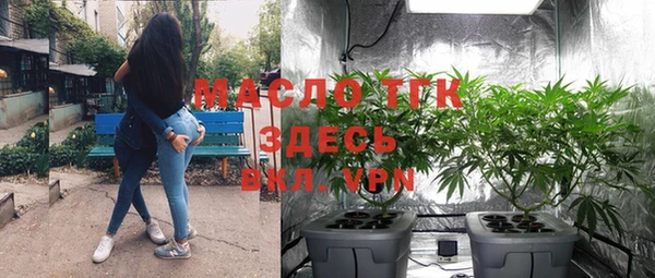 спиды Каменногорск