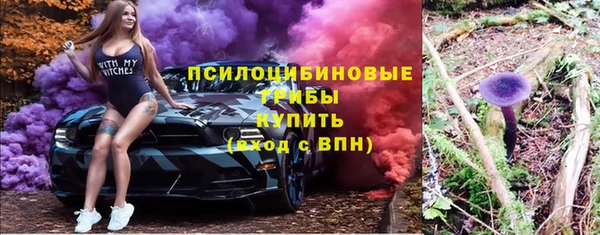 a pvp Карпинск