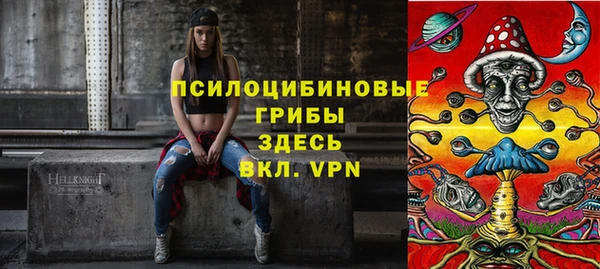 spice Касимов