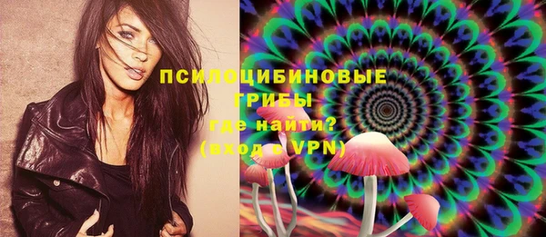 PSILOCYBIN Кинешма