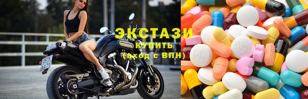 PSILOCYBIN Карталы