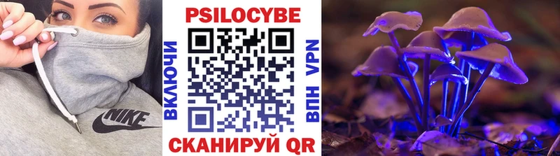 Псилоцибиновые грибы мицелий Олёкминск