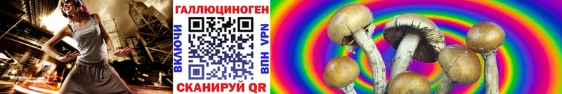 Галлюциногенные грибы Cubensis Олёкминск